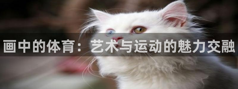 JJB竞技宝官方正版app开户:画中的体育:艺术与运动的魅力