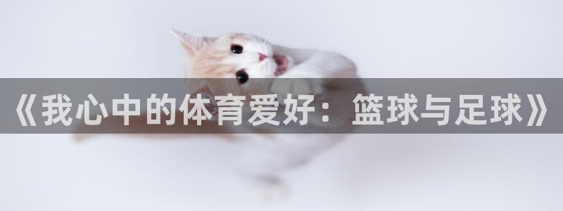 JJB竞技宝官方正版app集团简介:《我心中的体育爱好:篮球