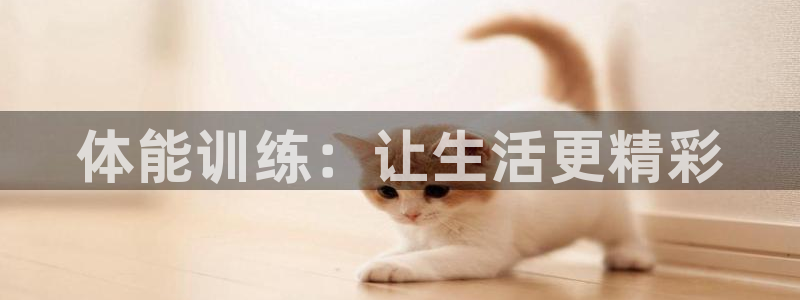 JJB竞技宝官方正版app娱乐是那个系列的台子:体能训练:让